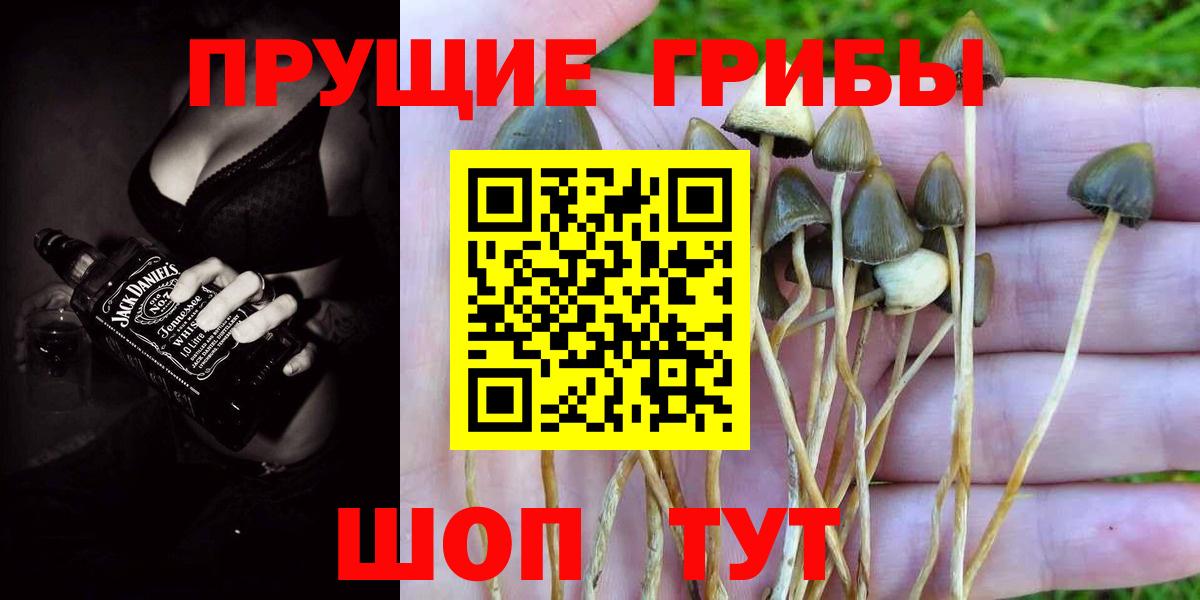Галлюциногенные грибы Psilocybe  что такое наркотик  Кулебаки  Вход с VPN 
